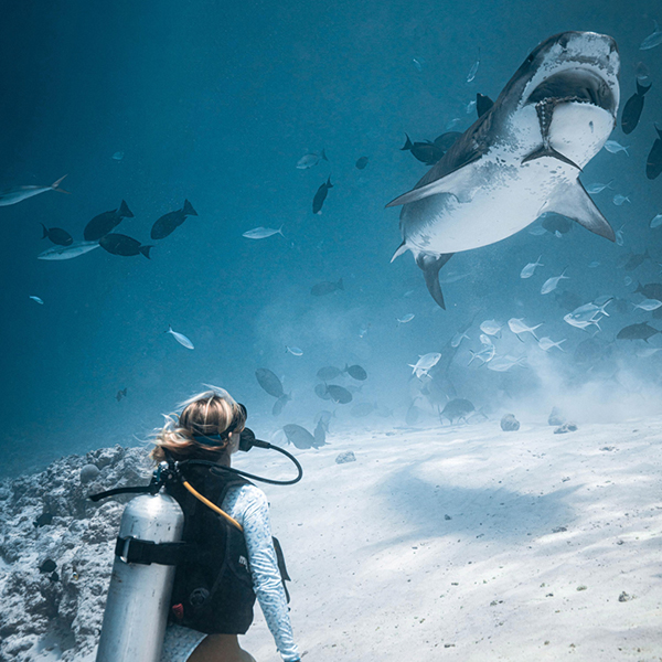 Fuvahmulah + Maafushi