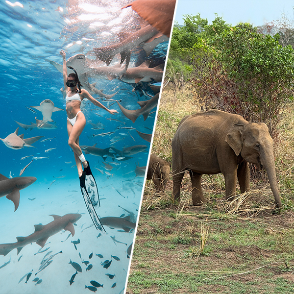 Maledivy + Sri Lanka